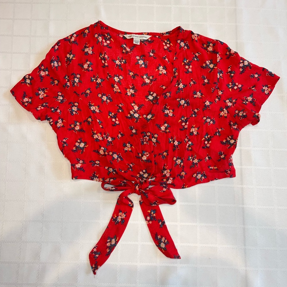 Cherry girl Festival coquette american eagle crop top floral small